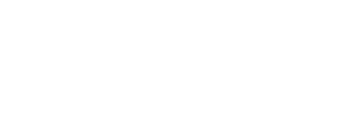 Sentry Logo